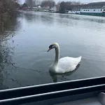 Loft Sur L'eau En Centre-ville De Compiegne